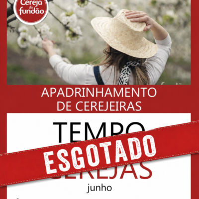 B09b303c 05e6 48b3 A6b3 5da82b553927