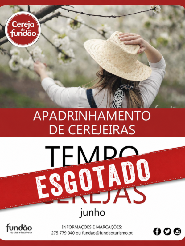 B09b303c 05e6 48b3 A6b3 5da82b553927